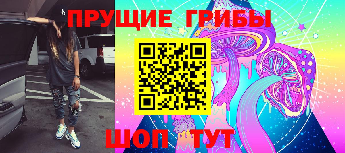 продажа наркотиков  Галлюциногенные грибы Cubensis  Зеленокумск  Вход с VPN  Галлюциногенные грибы прущие грибы 